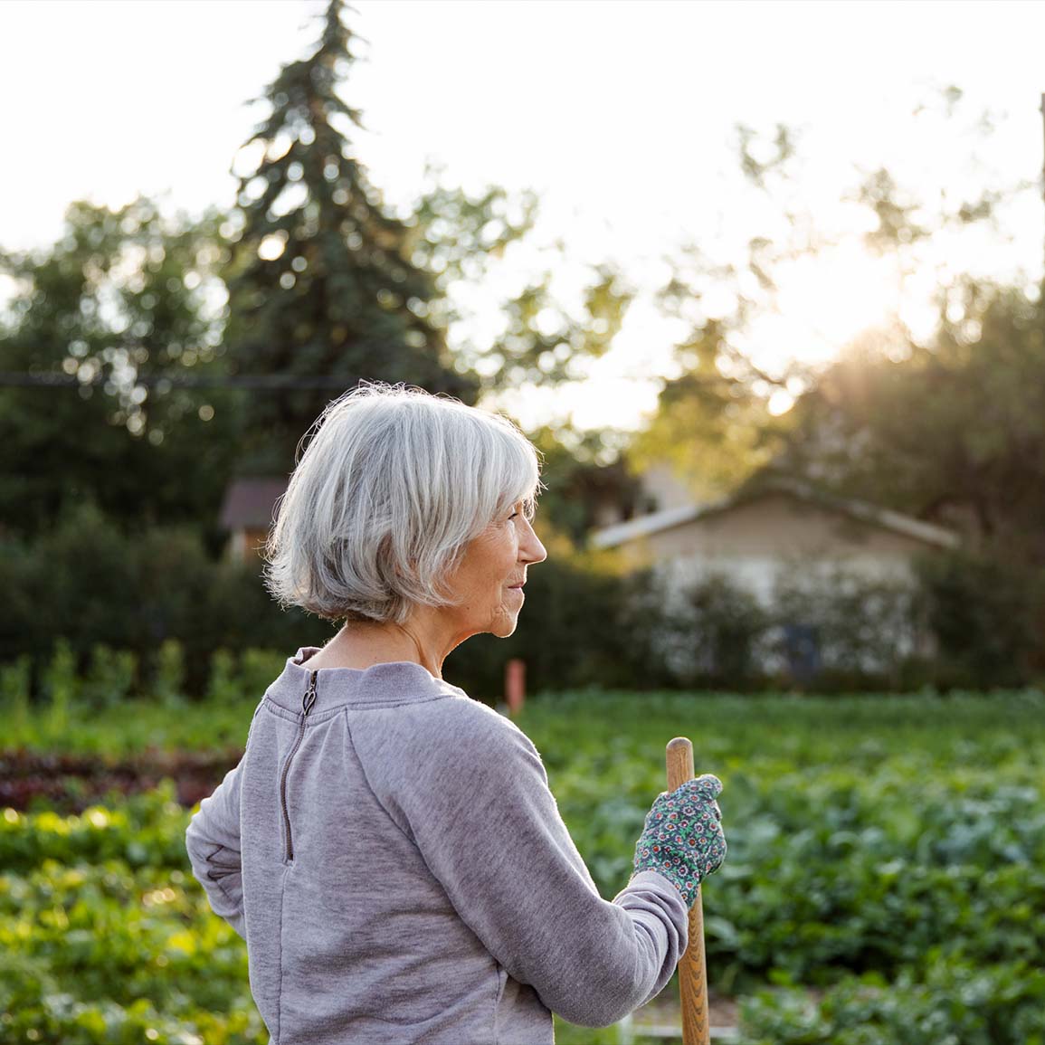 OAS Allowance and GIS for low seniors ATB Financial